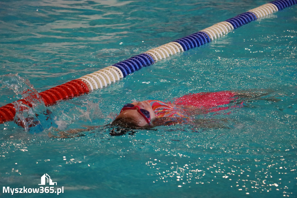 Fotorelacja I: Zawody pływackie w MOSiR Myszków