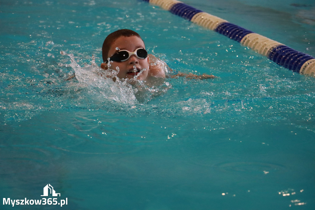 Fotorelacja I: Zawody pływackie w MOSiR Myszków