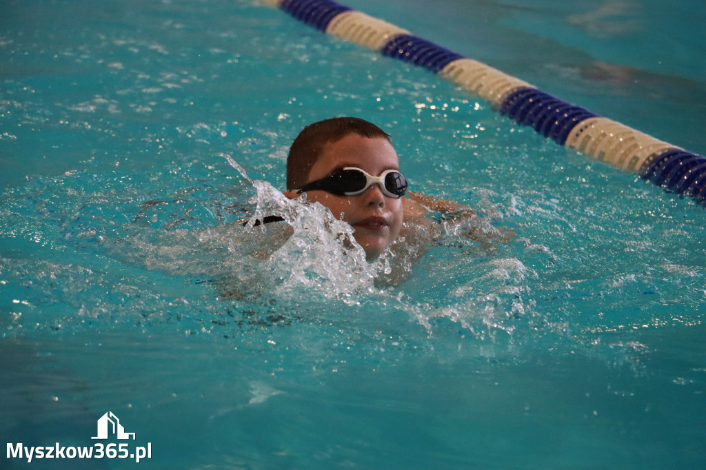 Fotorelacja I: Zawody pływackie w MOSiR Myszków