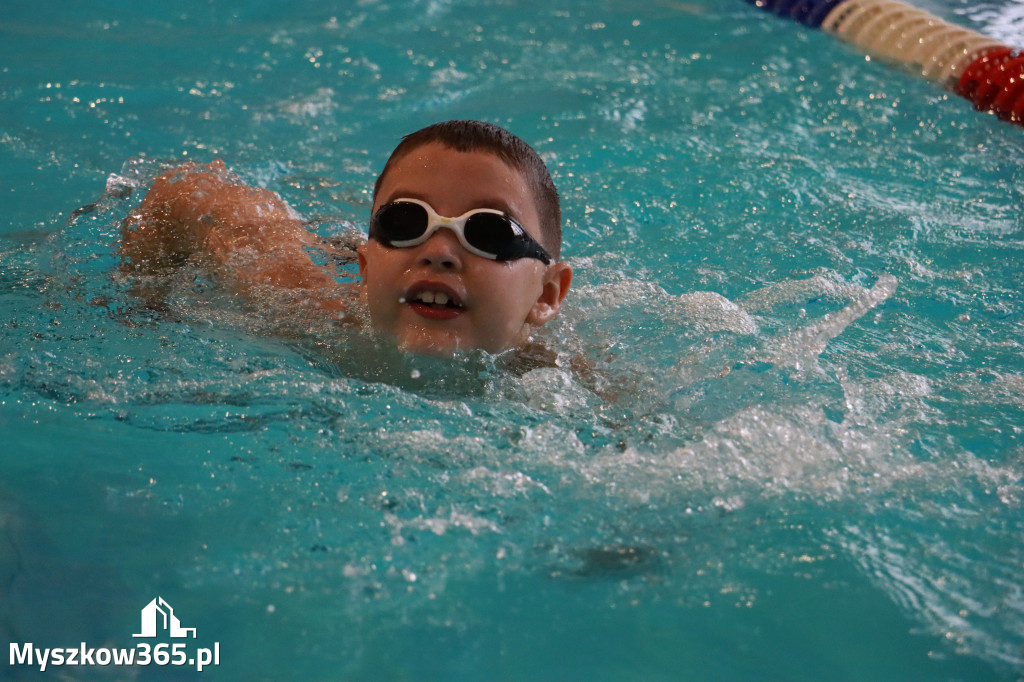 Fotorelacja I: Zawody pływackie w MOSiR Myszków