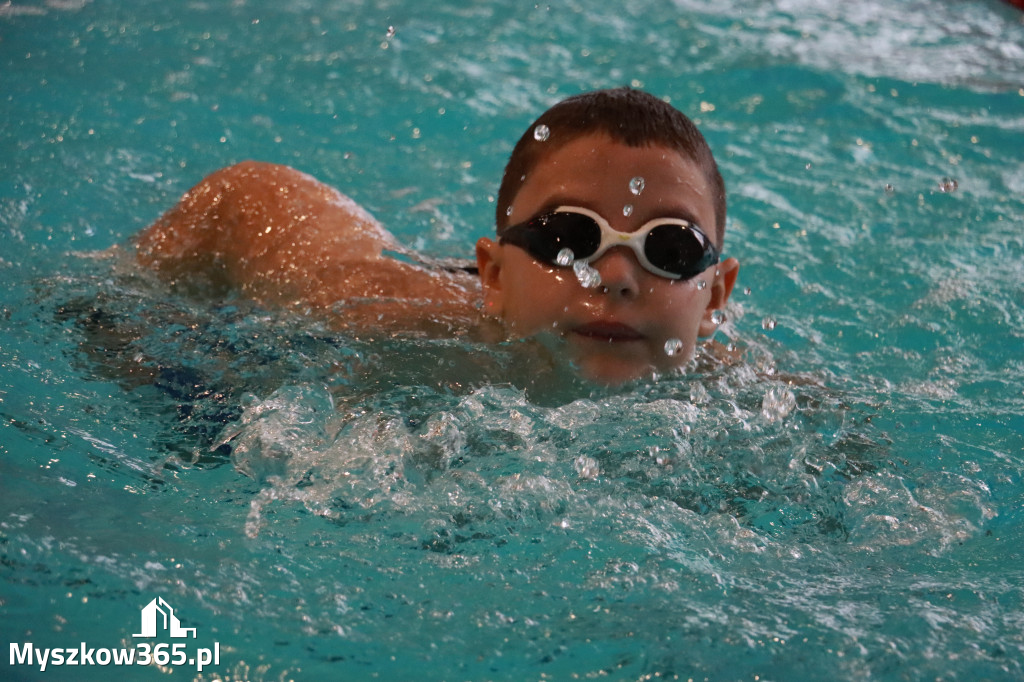 Fotorelacja I: Zawody pływackie w MOSiR Myszków
