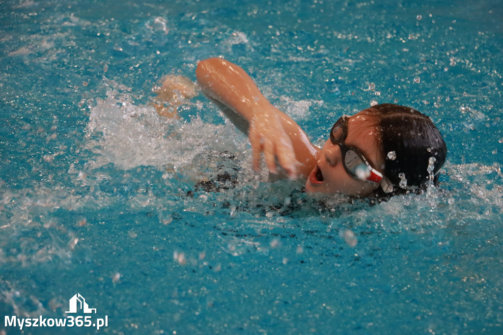 Fotorelacja I: Zawody pływackie w MOSiR Myszków