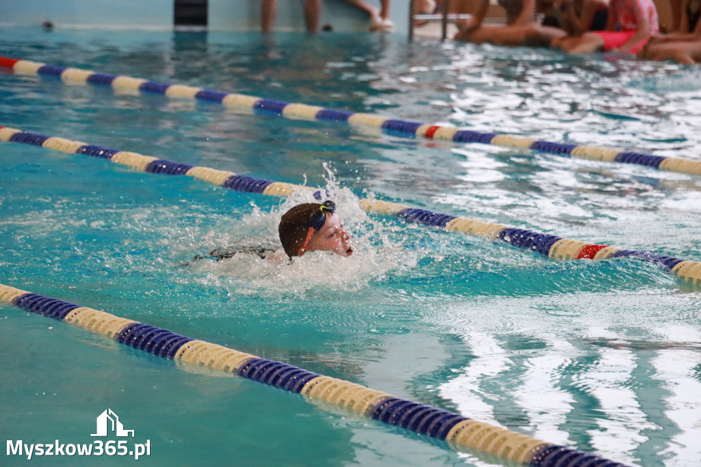 Fotorelacja I: Zawody pływackie w MOSiR Myszków