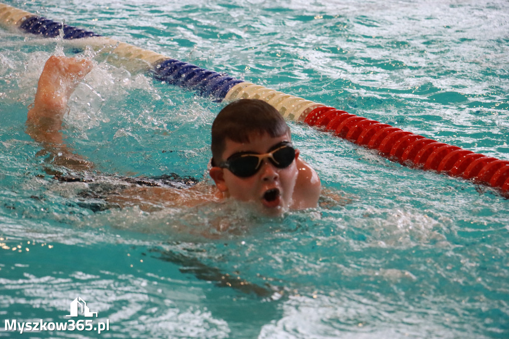 Fotorelacja I: Zawody pływackie w MOSiR Myszków