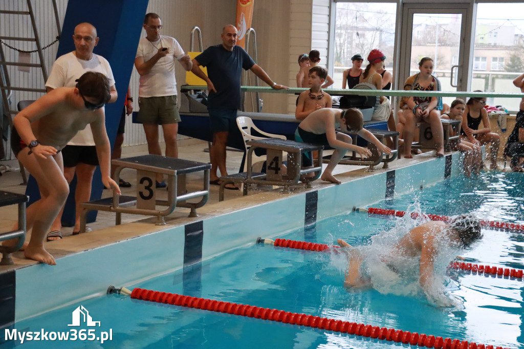 Fotorelacja I: Zawody pływackie w MOSiR Myszków