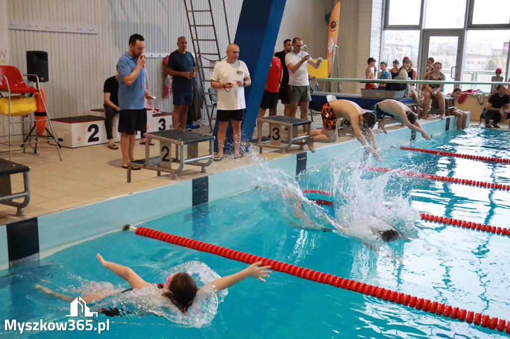 Fotorelacja I: Zawody pływackie w MOSiR Myszków