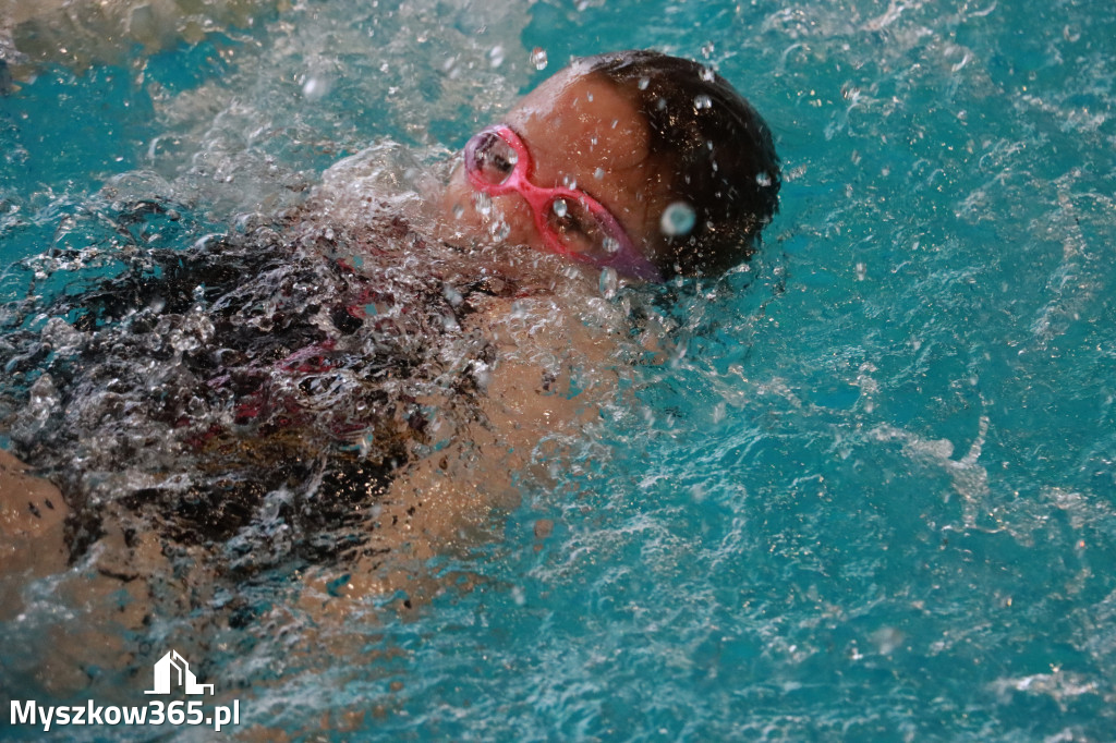 Fotorelacja I: Zawody pływackie w MOSiR Myszków