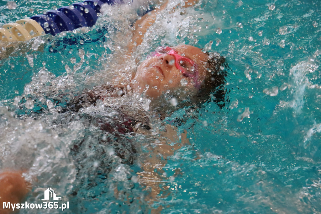 Fotorelacja I: Zawody pływackie w MOSiR Myszków