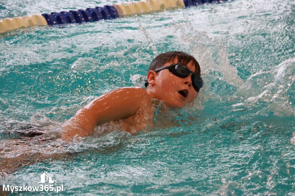 Fotorelacja I: Zawody pływackie w MOSiR Myszków