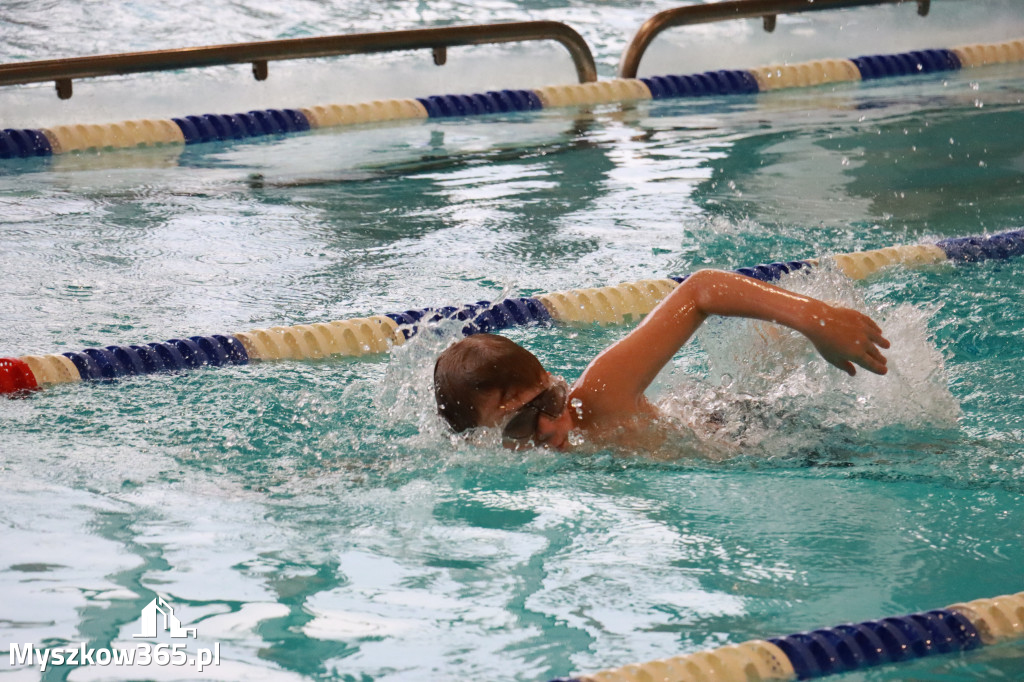 Fotorelacja I: Zawody pływackie w MOSiR Myszków