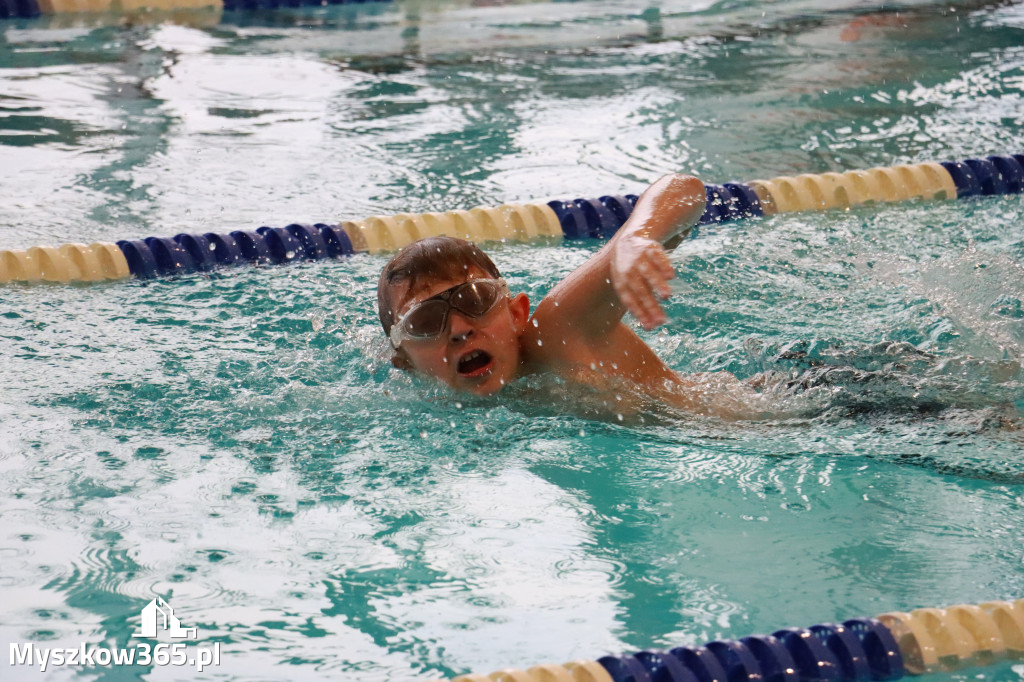 Fotorelacja I: Zawody pływackie w MOSiR Myszków