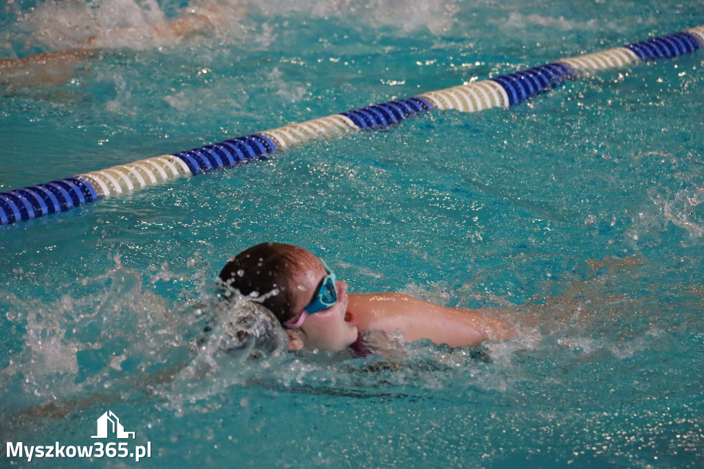 Fotorelacja I: Zawody pływackie w MOSiR Myszków