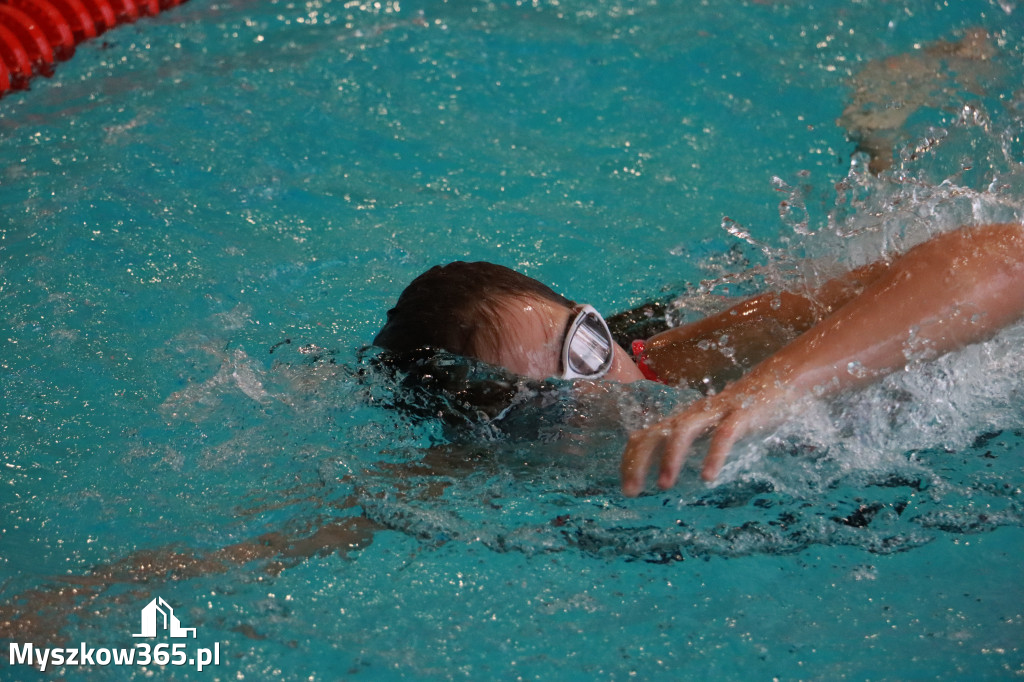 Fotorelacja I: Zawody pływackie w MOSiR Myszków