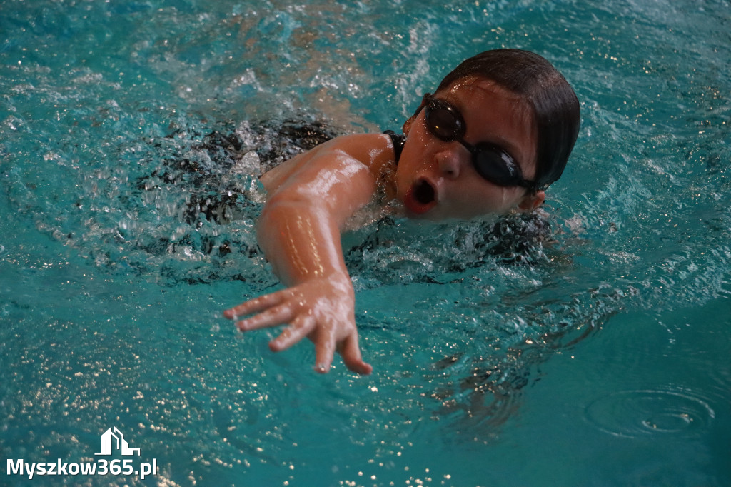 Fotorelacja I: Zawody pływackie w MOSiR Myszków