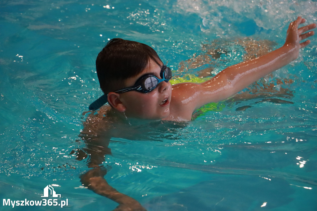 Fotorelacja I: Zawody pływackie w MOSiR Myszków