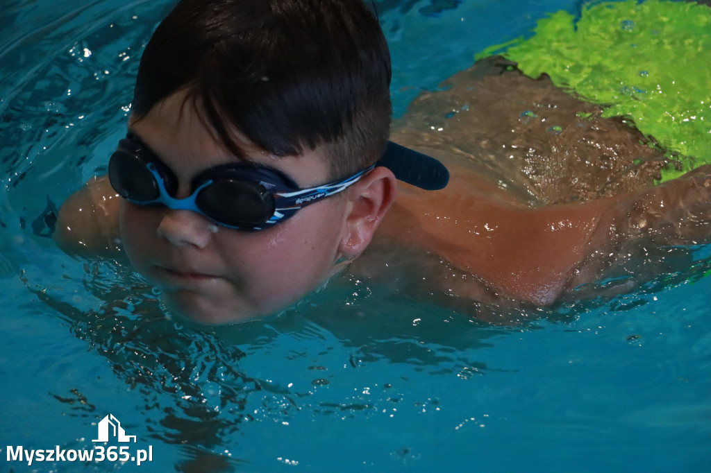 Fotorelacja I: Zawody pływackie w MOSiR Myszków