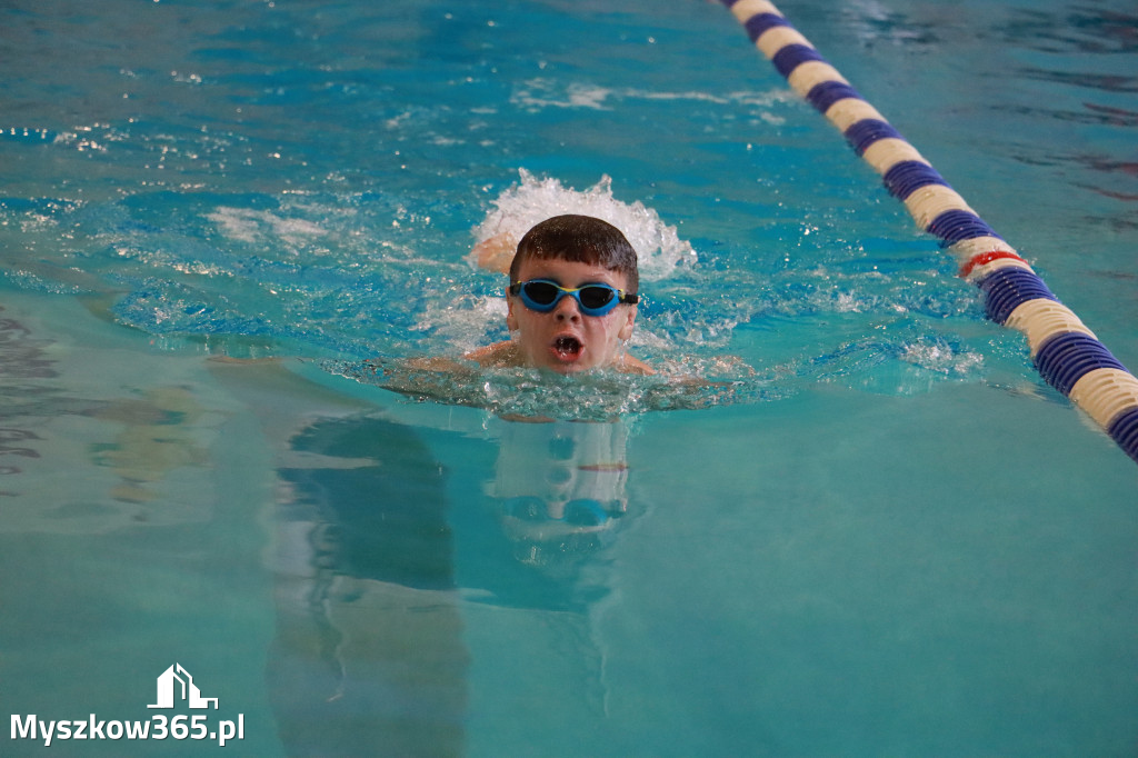 Fotorelacja I: Zawody pływackie w MOSiR Myszków