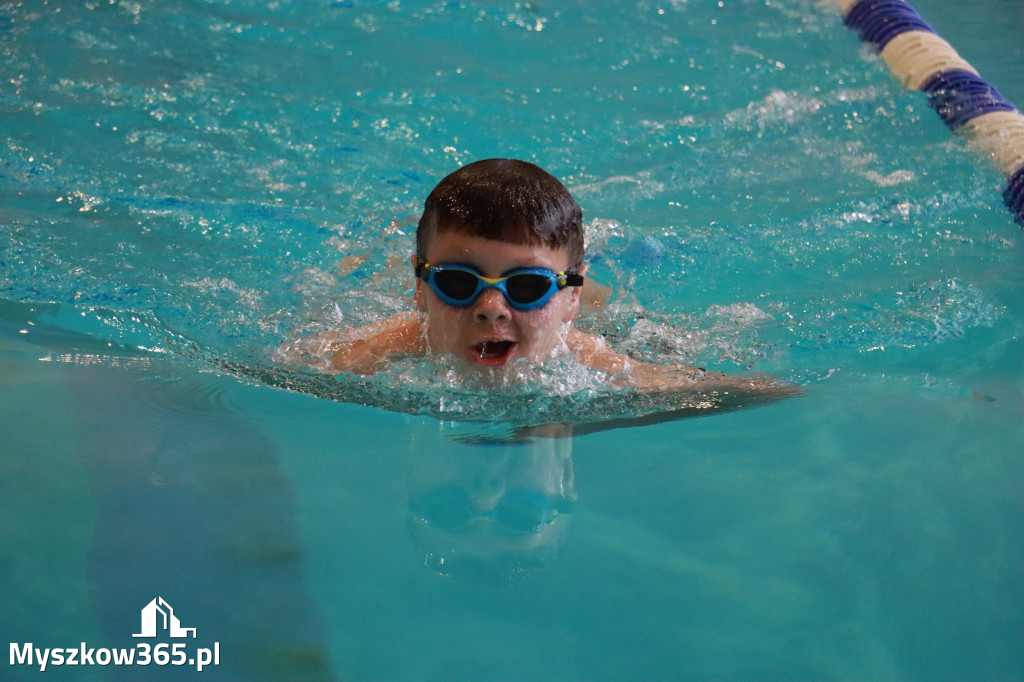 Fotorelacja I: Zawody pływackie w MOSiR Myszków