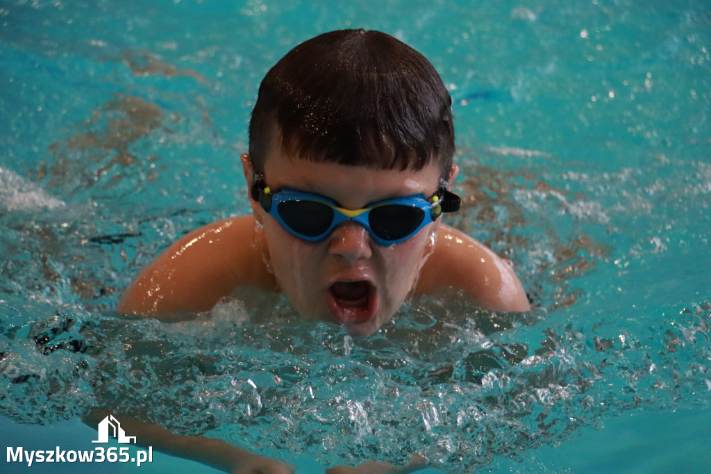 Fotorelacja I: Zawody pływackie w MOSiR Myszków