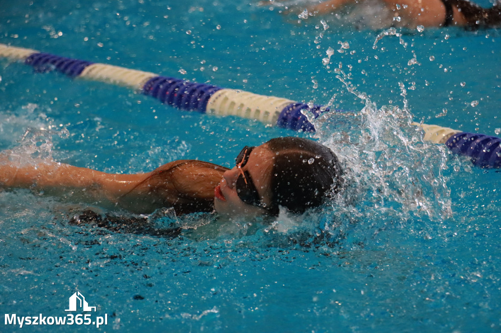 Fotorelacja I: Zawody pływackie w MOSiR Myszków
