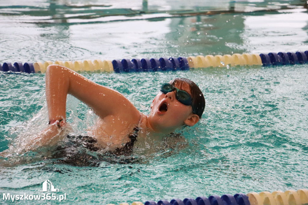 Fotorelacja I: Zawody pływackie w MOSiR Myszków