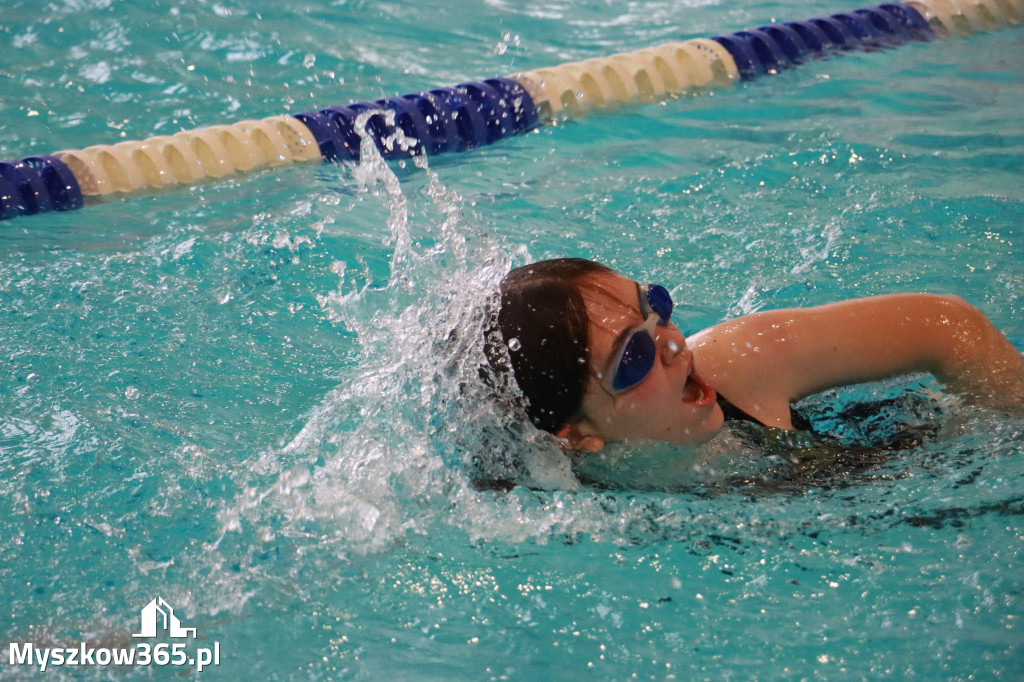 Fotorelacja I: Zawody pływackie w MOSiR Myszków
