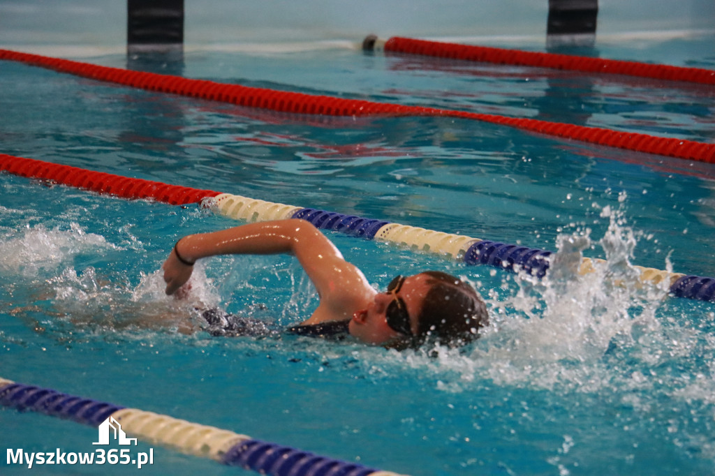 Fotorelacja I: Zawody pływackie w MOSiR Myszków