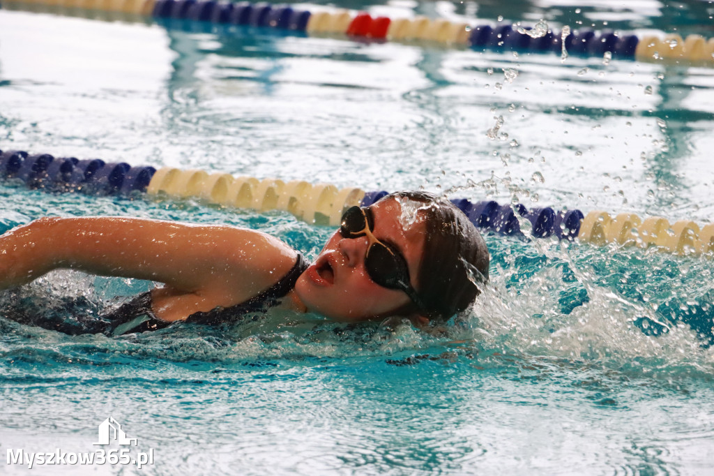 Fotorelacja I: Zawody pływackie w MOSiR Myszków