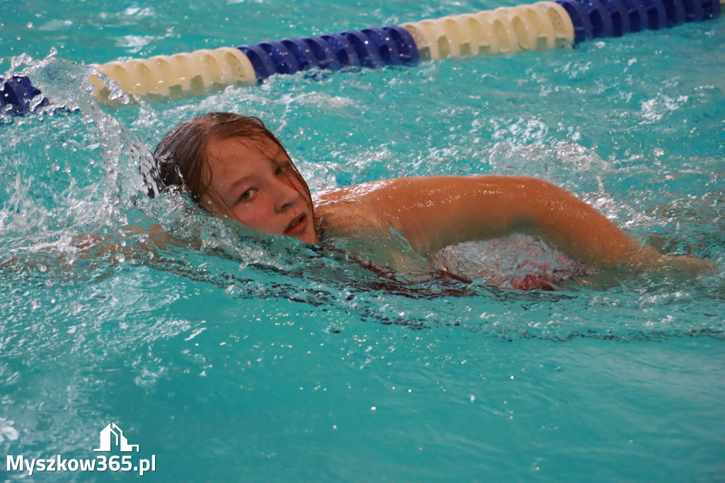Fotorelacja I: Zawody pływackie w MOSiR Myszków