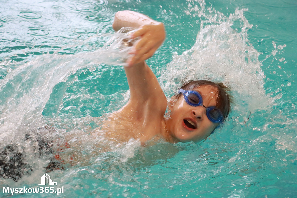 Fotorelacja I: Zawody pływackie w MOSiR Myszków