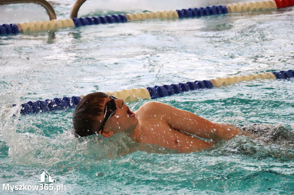 Fotorelacja I: Zawody pływackie w MOSiR Myszków
