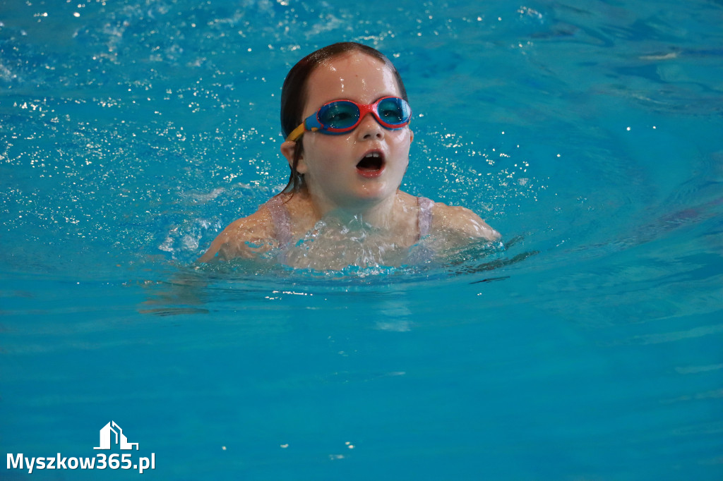 Fotorelacja I: Zawody pływackie w MOSiR Myszków