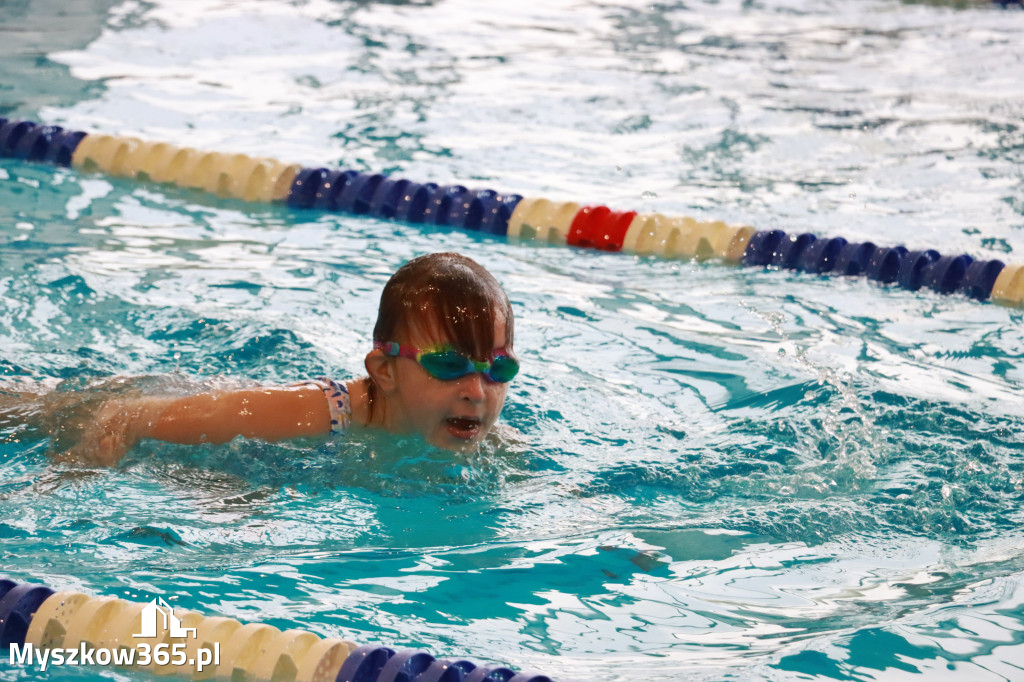 Fotorelacja I: Zawody pływackie w MOSiR Myszków