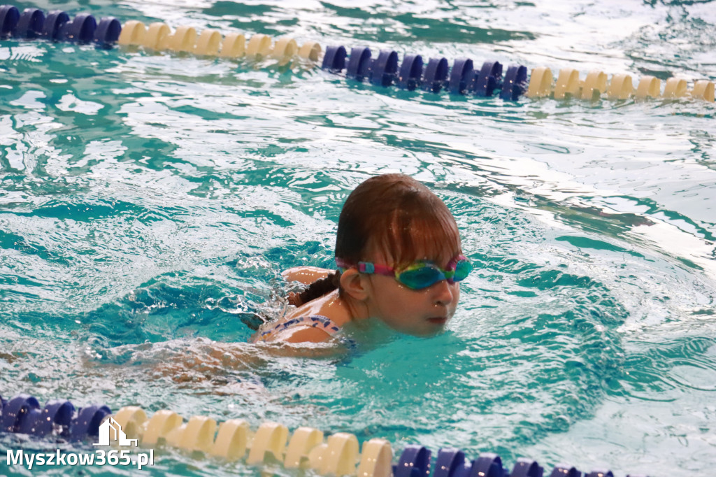 Fotorelacja I: Zawody pływackie w MOSiR Myszków