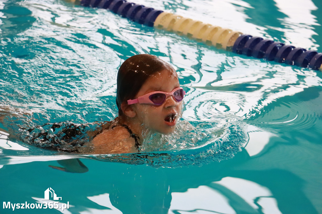 Fotorelacja I: Zawody pływackie w MOSiR Myszków