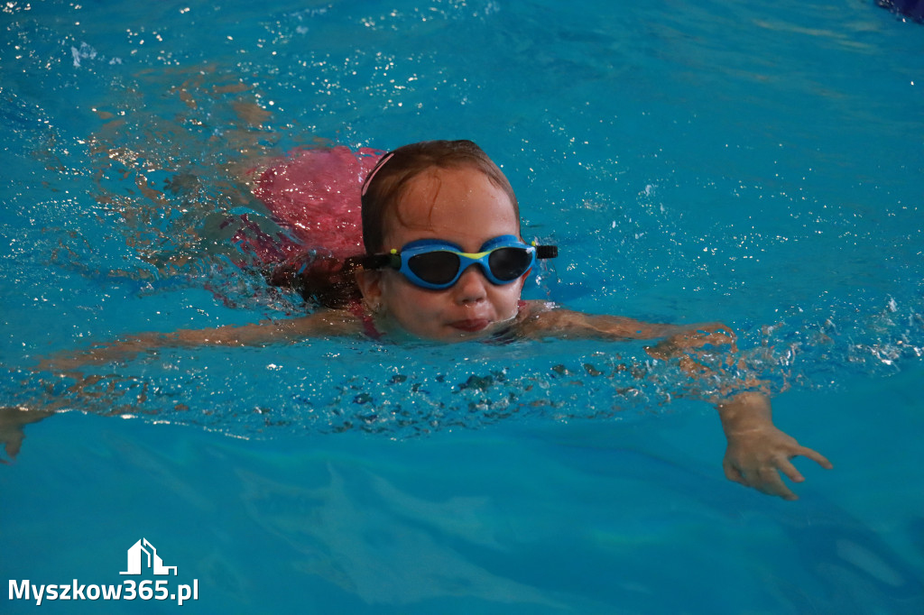 Fotorelacja I: Zawody pływackie w MOSiR Myszków