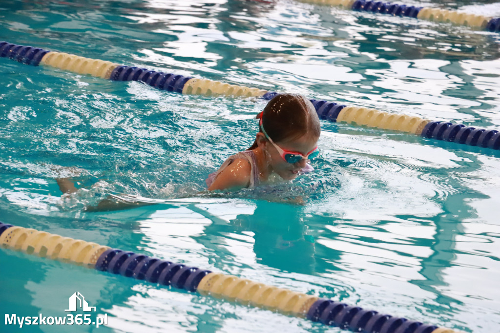 Fotorelacja I: Zawody pływackie w MOSiR Myszków