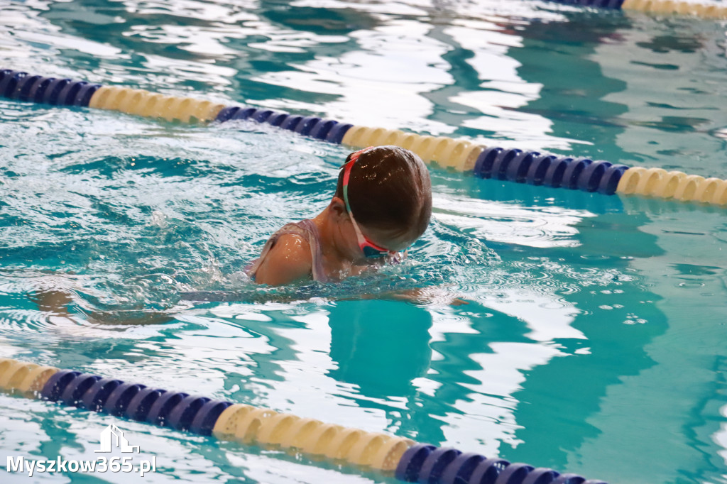 Fotorelacja I: Zawody pływackie w MOSiR Myszków
