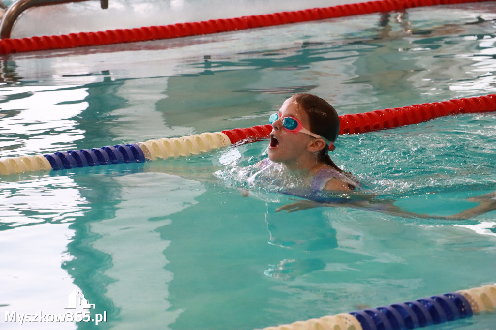 Fotorelacja I: Zawody pływackie w MOSiR Myszków