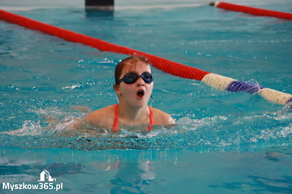 Fotorelacja I: Zawody pływackie w MOSiR Myszków
