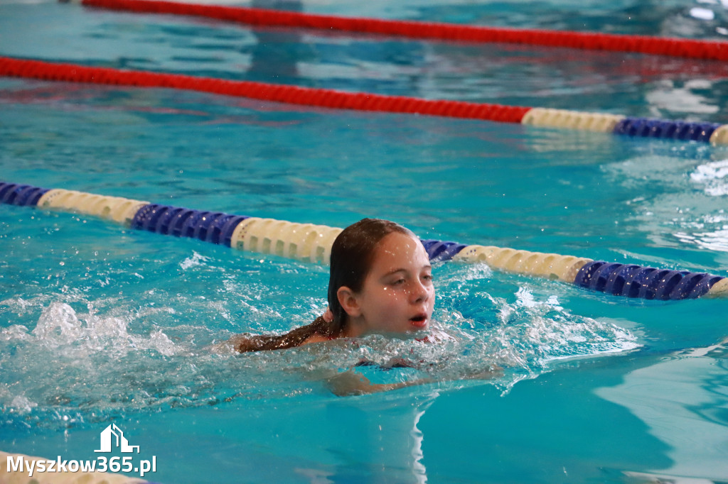 Fotorelacja I: Zawody pływackie w MOSiR Myszków