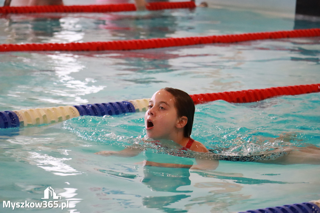 Fotorelacja I: Zawody pływackie w MOSiR Myszków