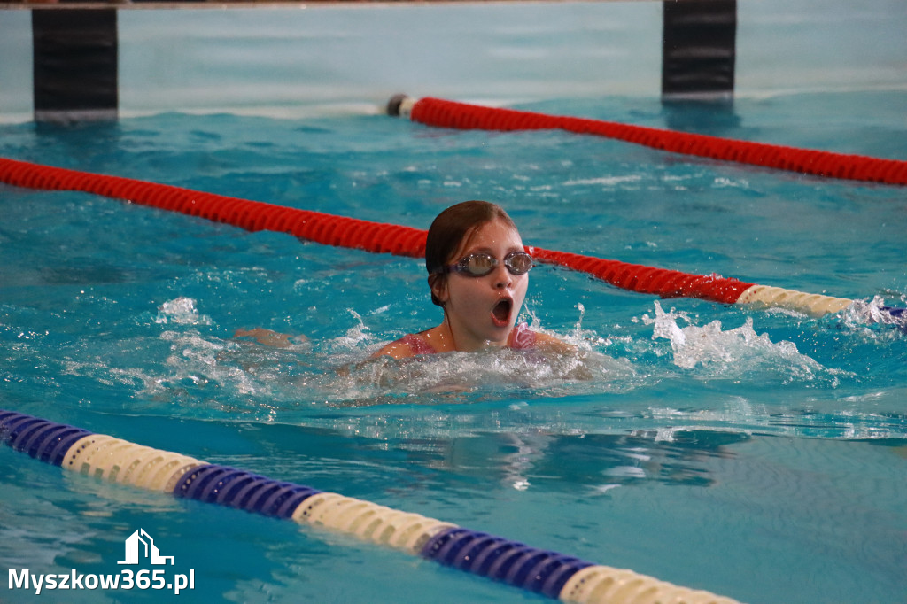 Fotorelacja I: Zawody pływackie w MOSiR Myszków
