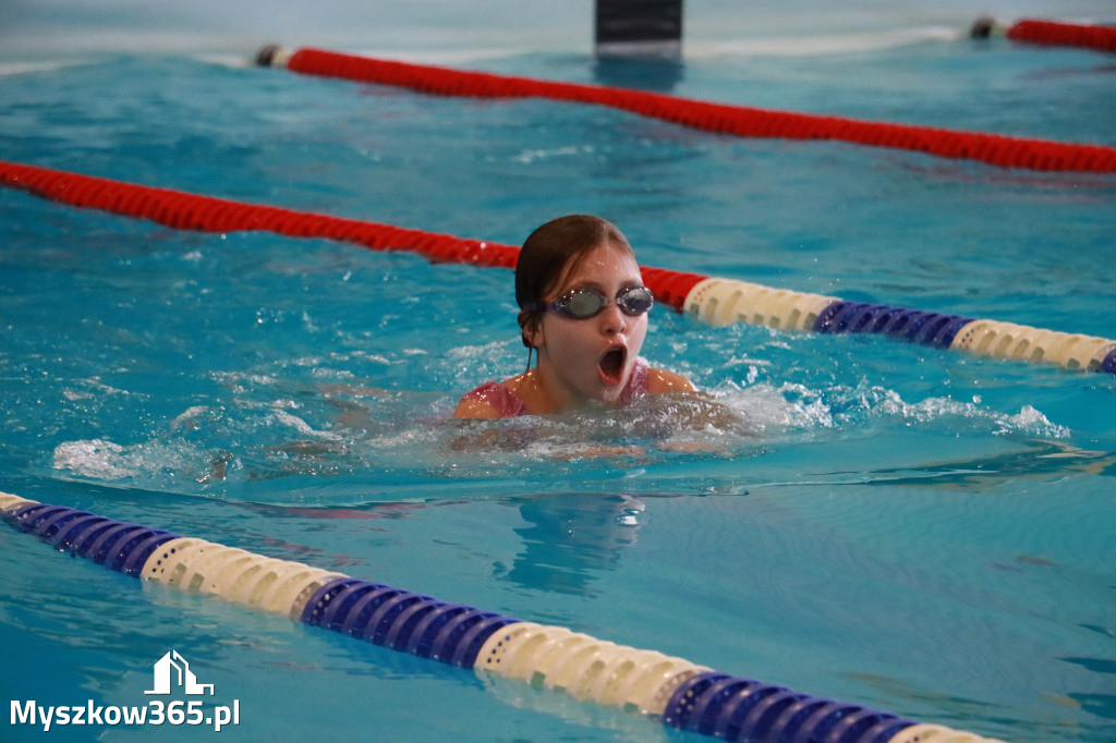 Fotorelacja I: Zawody pływackie w MOSiR Myszków