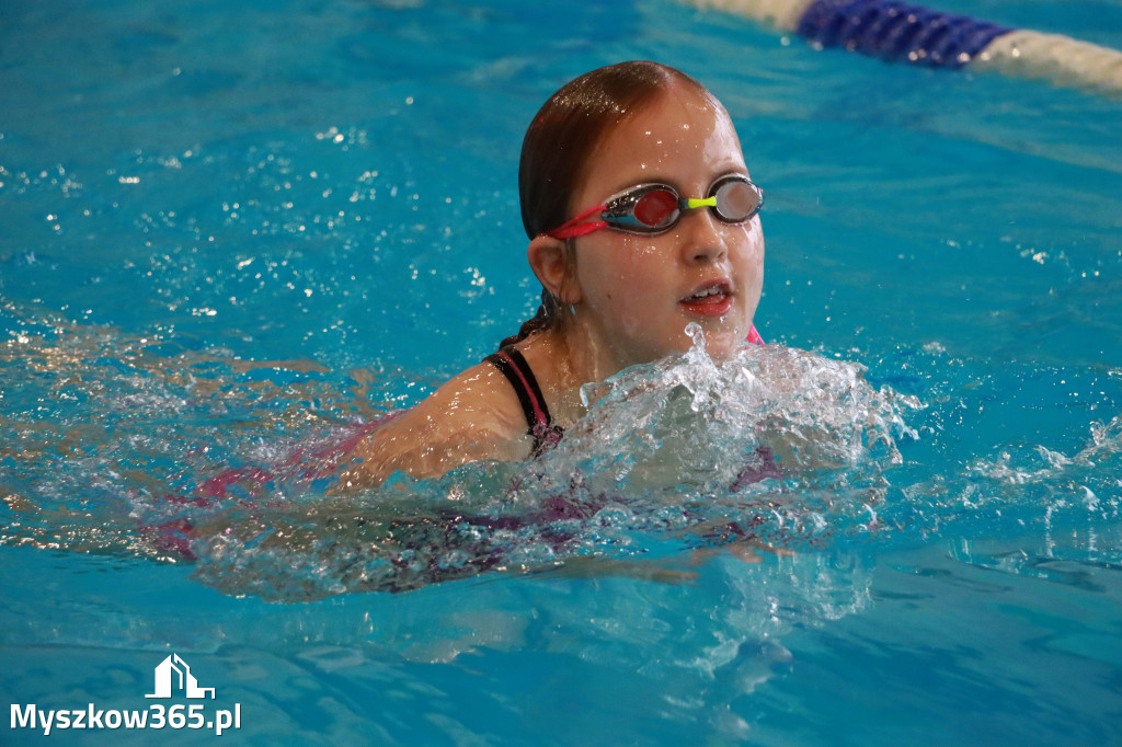 Fotorelacja I: Zawody pływackie w MOSiR Myszków