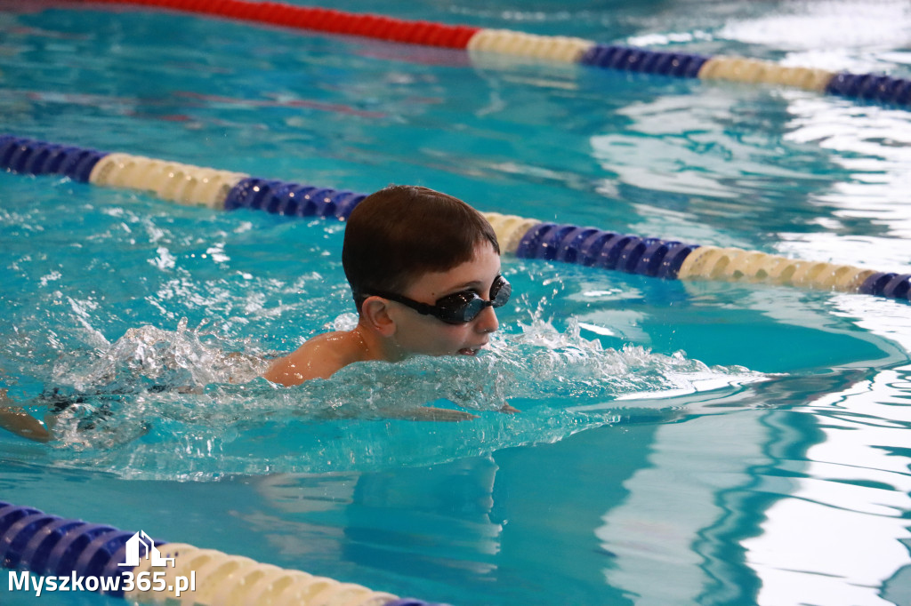 Fotorelacja I: Zawody pływackie w MOSiR Myszków