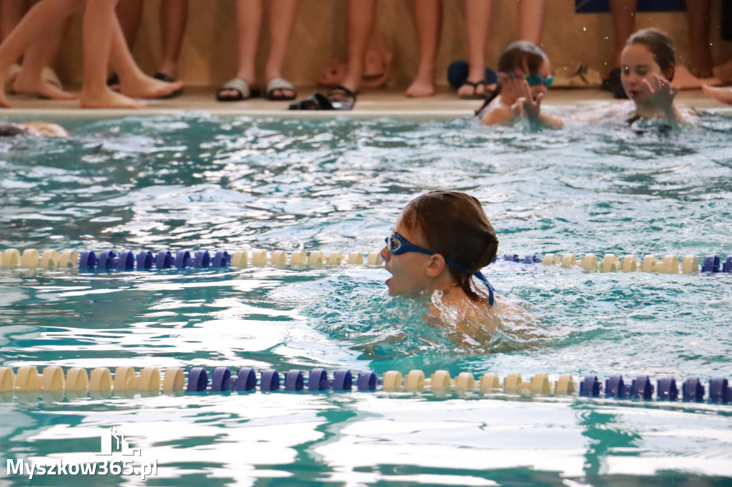 Fotorelacja I: Zawody pływackie w MOSiR Myszków