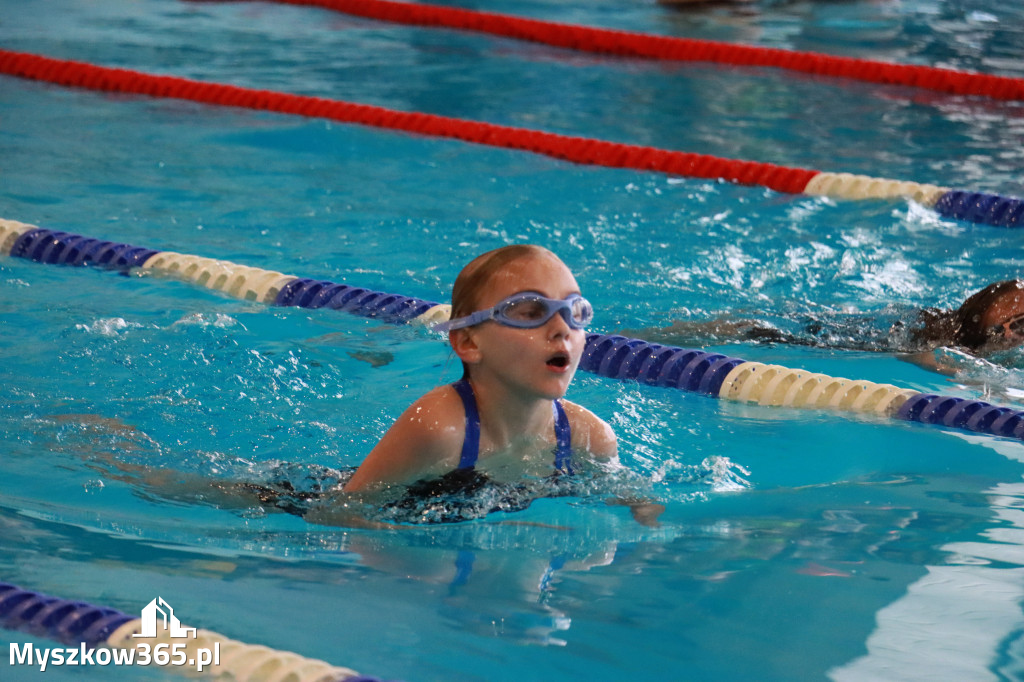 Fotorelacja I: Zawody pływackie w MOSiR Myszków