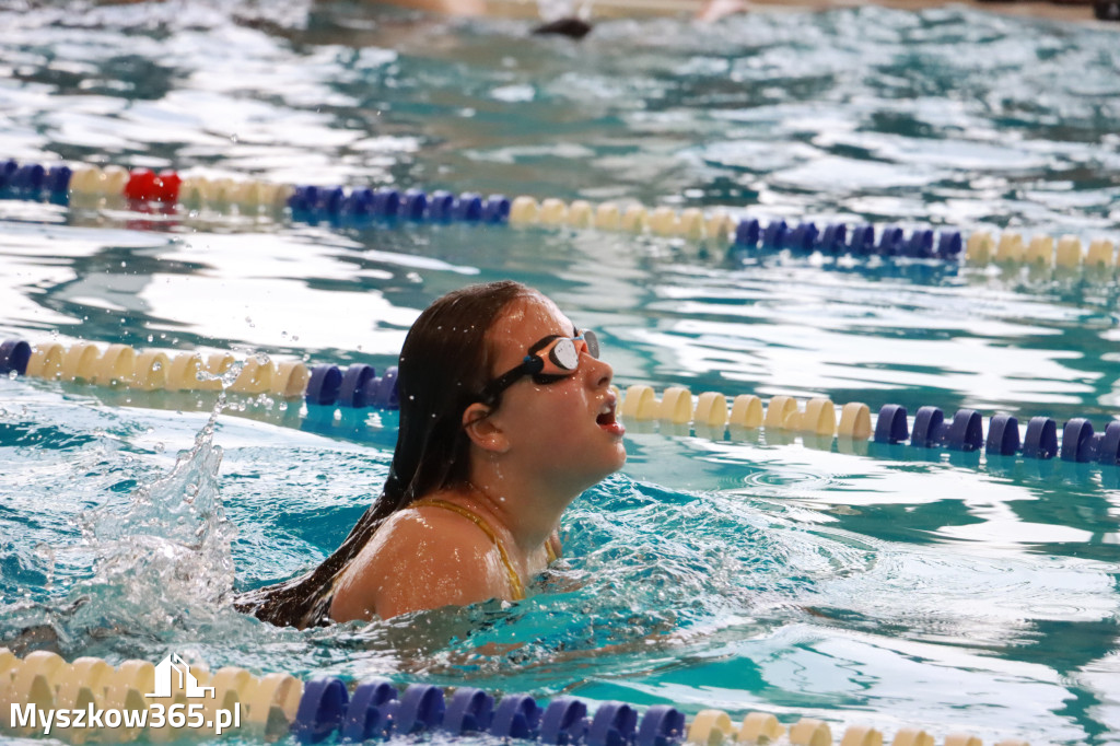 Fotorelacja I: Zawody pływackie w MOSiR Myszków