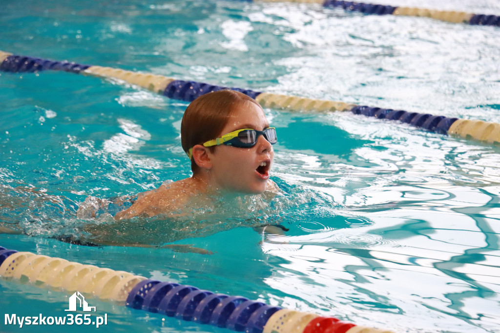 Fotorelacja I: Zawody pływackie w MOSiR Myszków